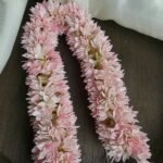 Foam Pink Pichi Flower