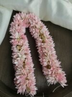 Foam Pink Pichi Flower